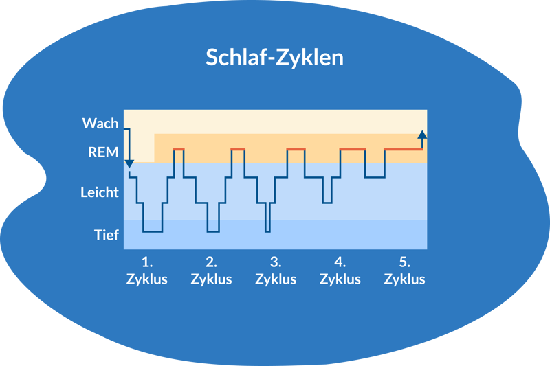 Циклы сна людей.
